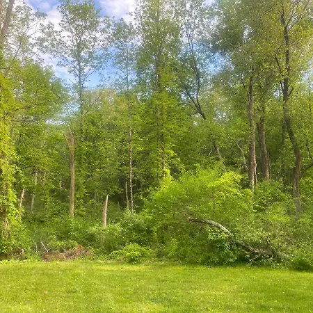 Newly Renovated 3Br Hudson Valley House Ulster Park Extérieur photo